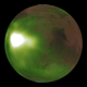 Ultraviolet ‘Nightglow’ of Mars’s amosphere.